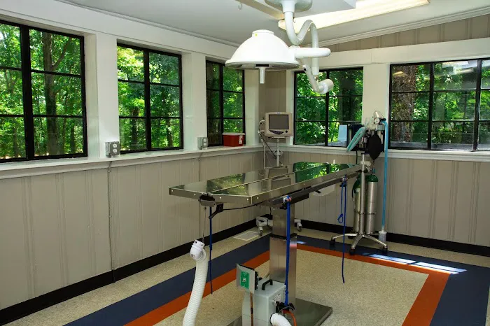North Main Animal Hospital Picture 3