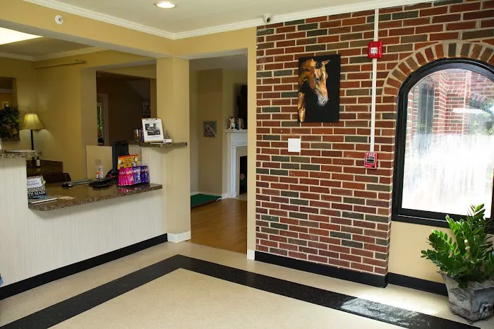 North Main Animal Hospital Picture 5