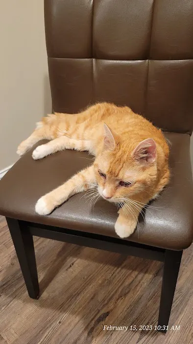 Paw Patch Animal Clinic Picture 8