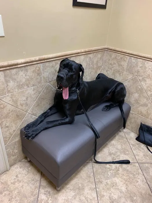 Alpharetta Animal Hospital Picture 2