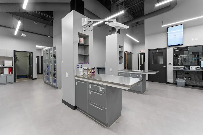 Veterinary Specialists of Greater Atlanta Picture 6