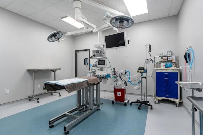 Veterinary Specialists of Greater Atlanta Picture 7