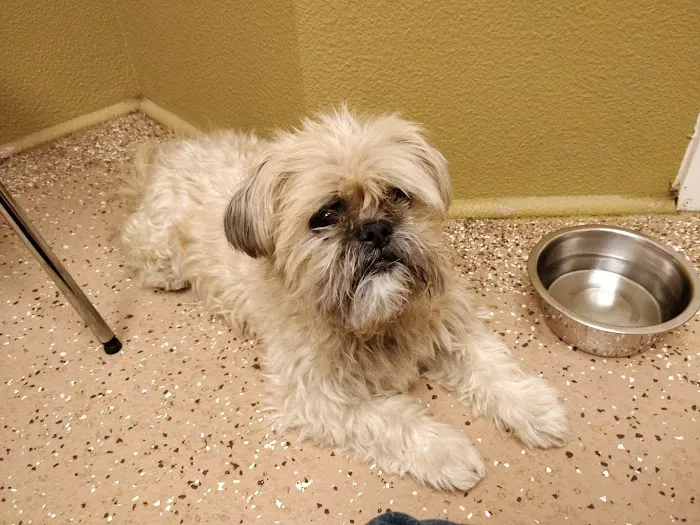 Webb Bridge Animal Hospital Picture 7