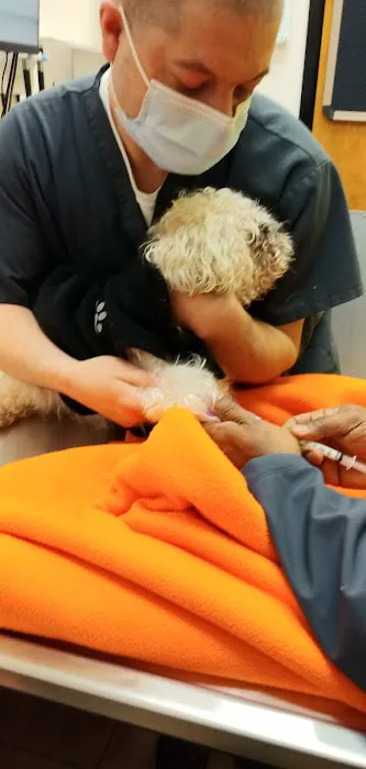 Banfield Pet Hospital Picture 1