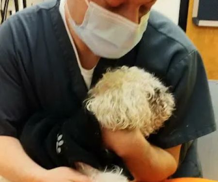 Banfield Pet Hospital