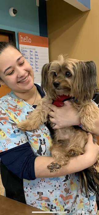 Banfield Pet Hospital Picture 7