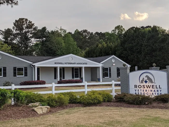 Roswell Veterinary Associates Picture 5