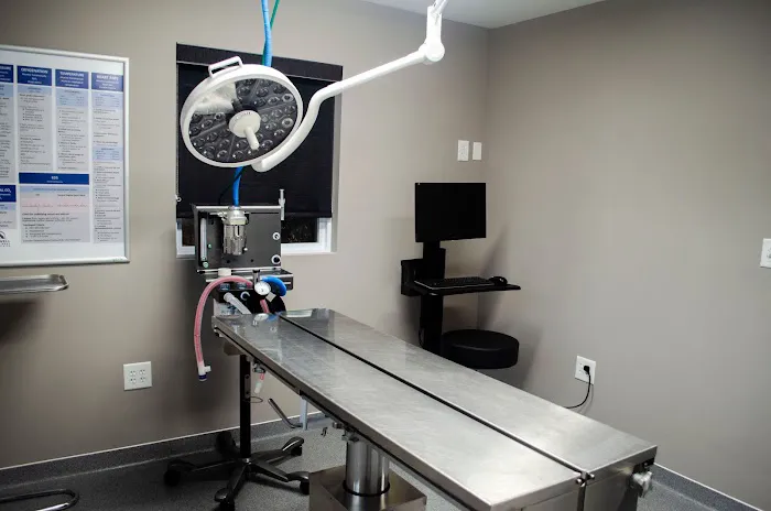 Roswell Veterinary Associates Picture 4