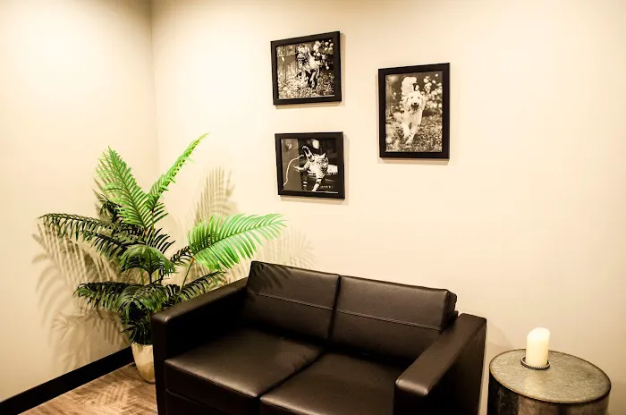 Roswell Veterinary Associates Picture 8