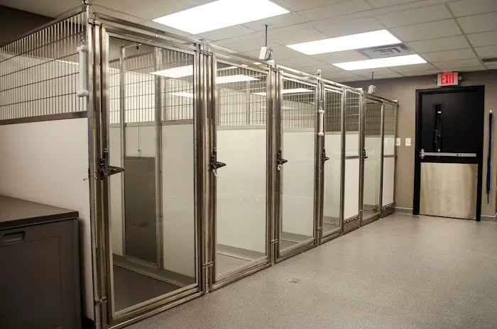 Roswell Veterinary Associates Picture 10