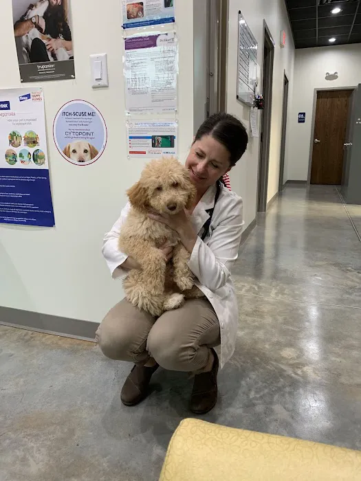 PeachVet Pet Wellness Picture 3