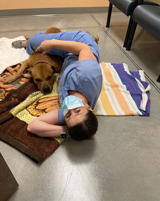 PeachVet Pet Wellness Picture 8