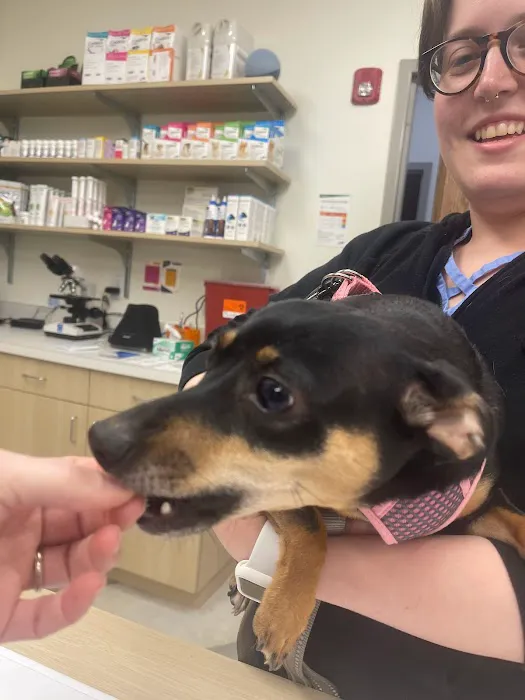 PeachVet Pet Wellness Picture 10