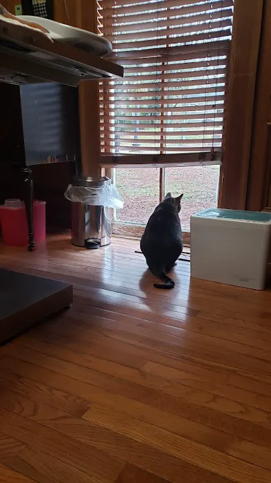 The Cat Clinic of Roswell Picture 5
