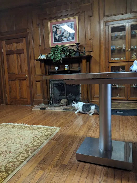 The Cat Clinic of Roswell Picture 8