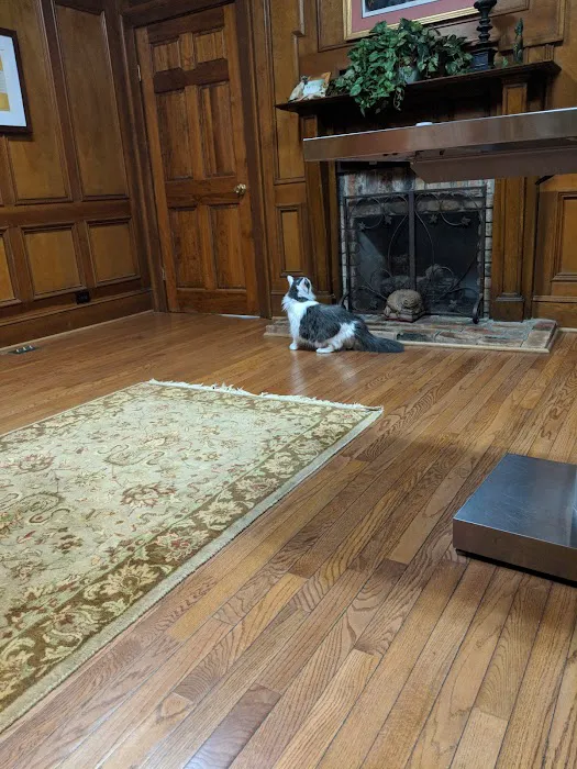 The Cat Clinic of Roswell Picture 10