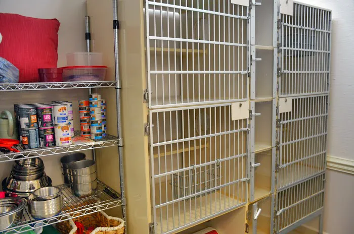 Hollyberry Animal Hospital Picture 3