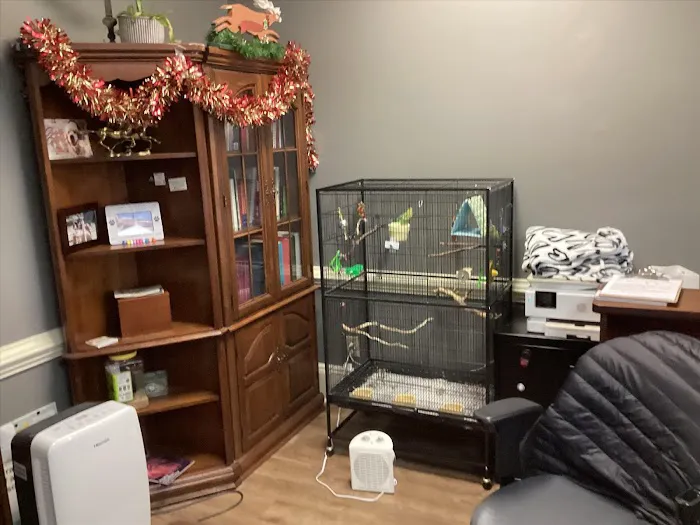Hollyberry Animal Hospital Picture 10