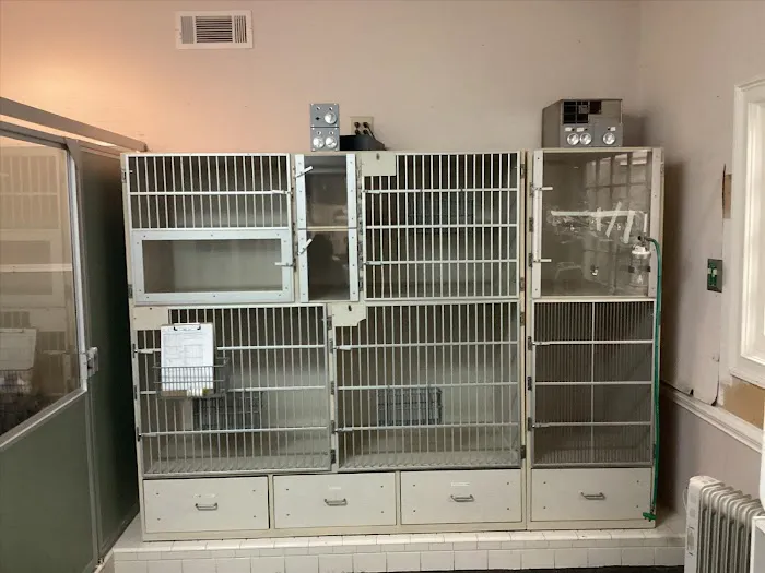 Hollyberry Animal Hospital Picture 9
