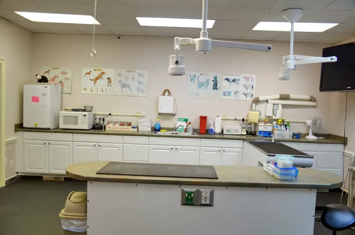 Hollyberry Animal Hospital Picture 8