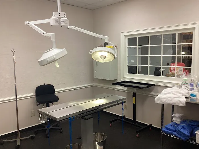 Hollyberry Animal Hospital Picture 7