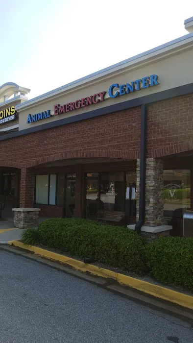 Atlanta Veterinary Dental Services Picture 6