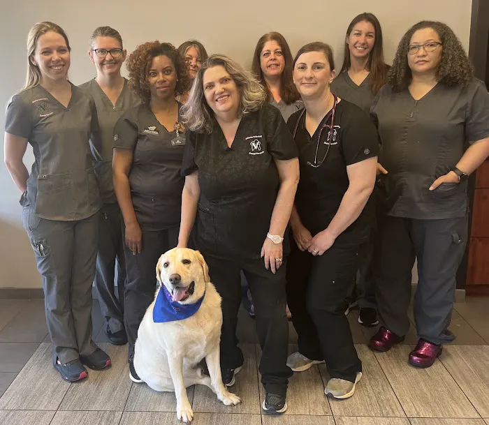 Atlanta Veterinary Dental Services Picture 7
