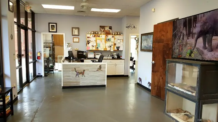 Windward Animal Hospital Picture 5