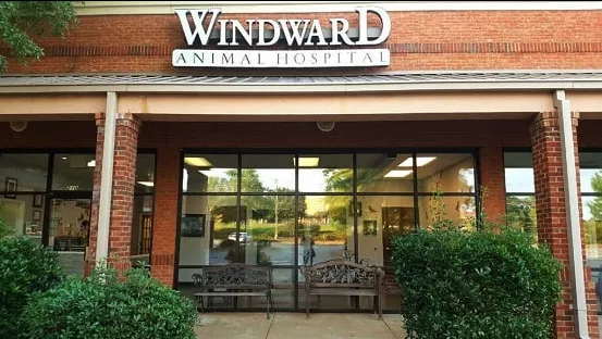 Windward Animal Hospital Picture 8