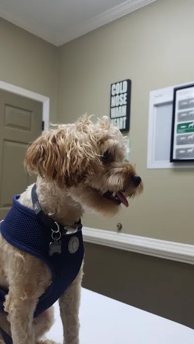 Jones Bridge Animal Hospital Picture 6