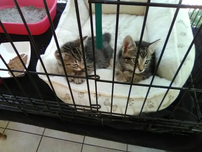 Jones Bridge Animal Hospital Picture 5