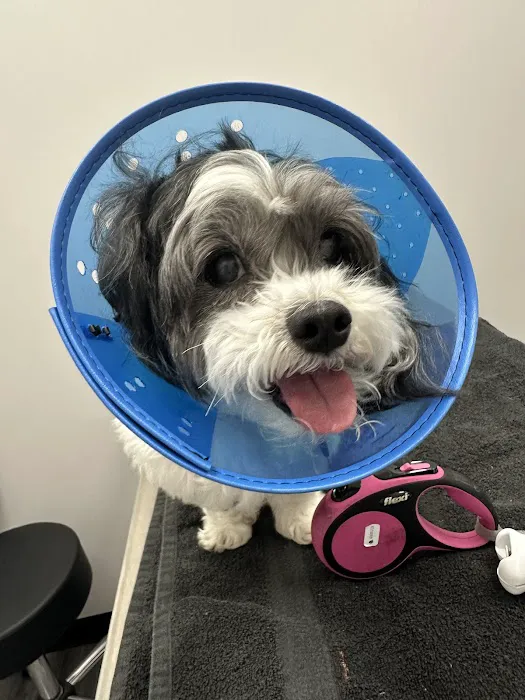 Wills Park Vet Picture 2