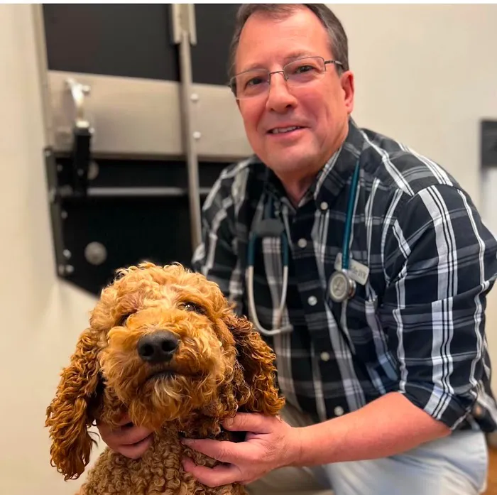 Wills Park Vet Picture 5