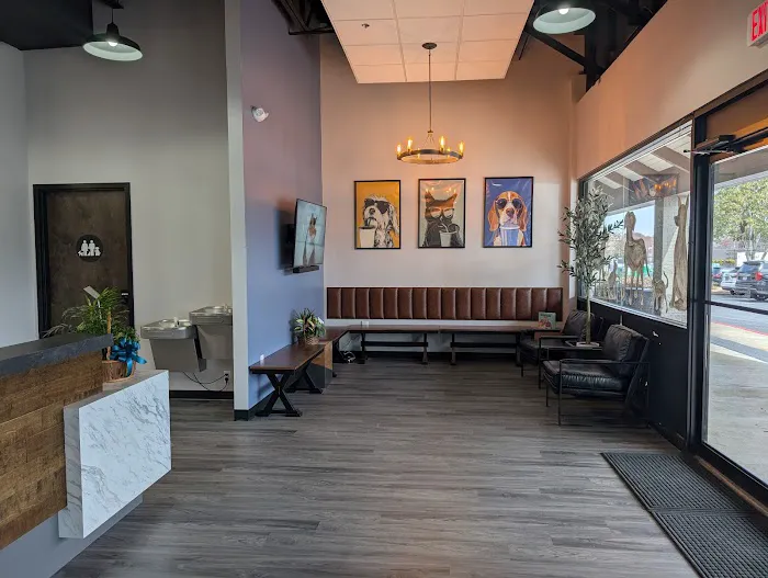 Wills Park Vet Picture 8