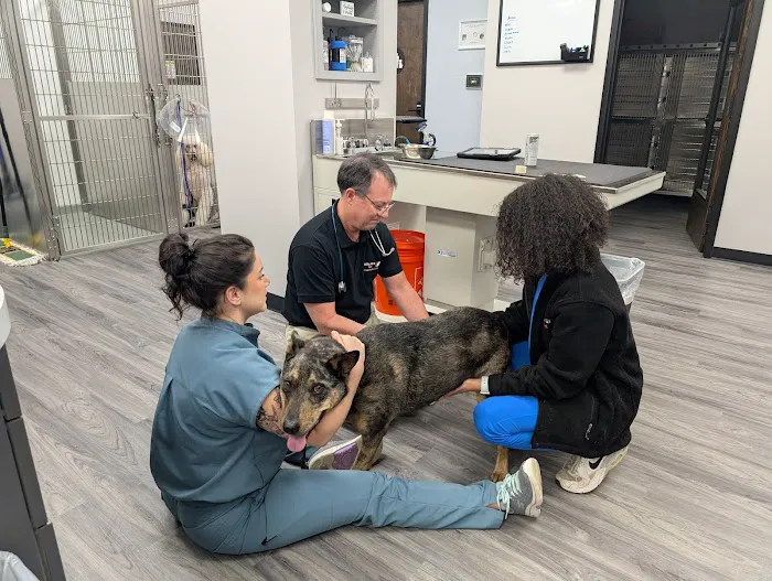 Wills Park Vet Picture 10