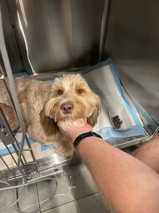 Bridge Park Animal Hospital Picture 2