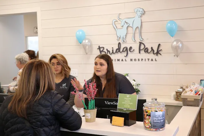 Bridge Park Animal Hospital Picture 6