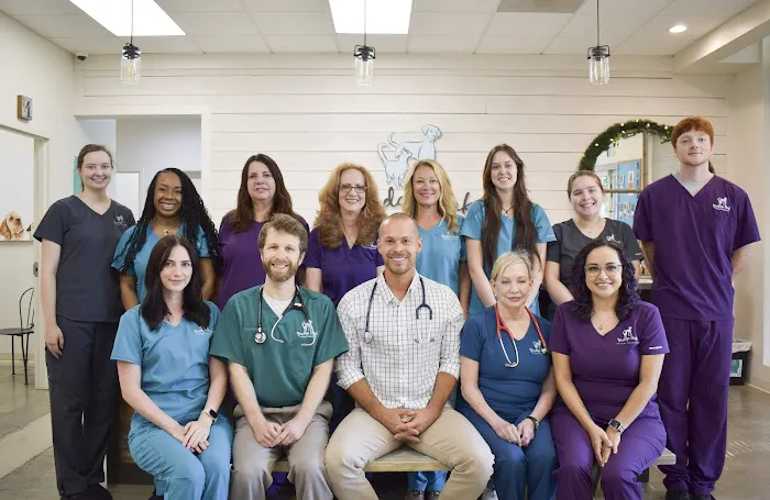 Bridge Park Animal Hospital Picture 10