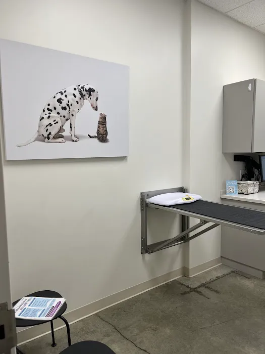 Bridge Park Animal Hospital Picture 9