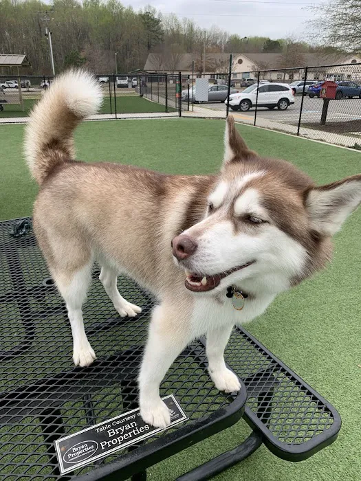 Walmart Pet Services Picture 7
