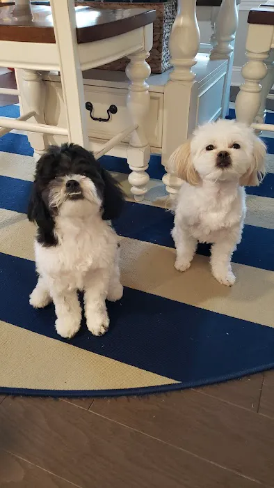 Walmart Pet Services Picture 9