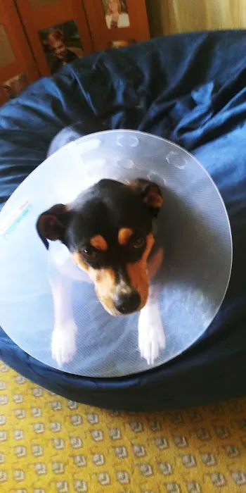 North Forsyth Animal Hospital Picture 6
