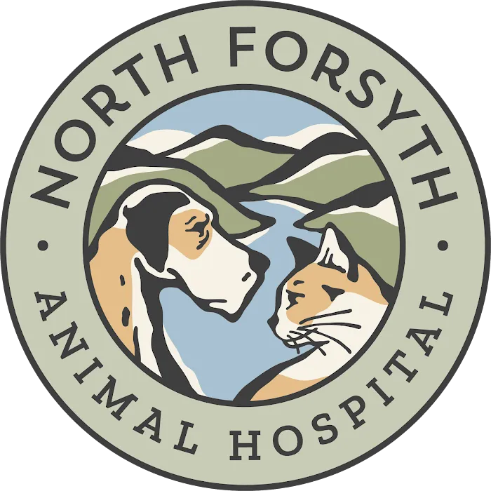 North Forsyth Animal Hospital Picture 9