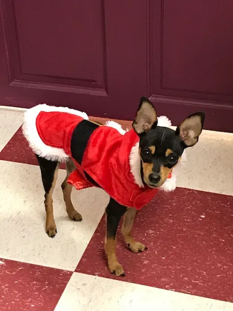 Dawson Forest Animal Hospital Picture 3