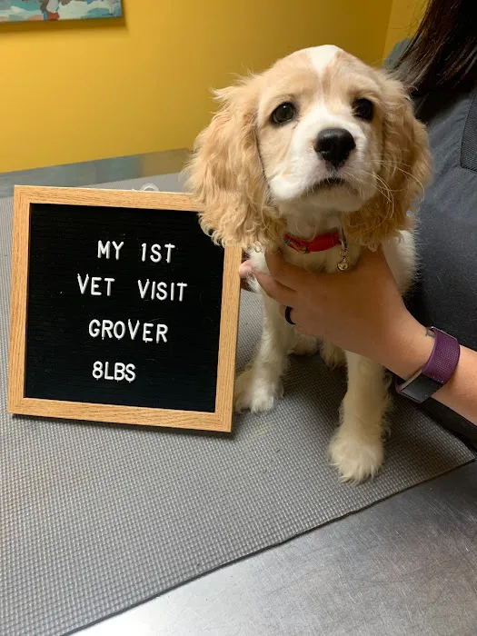 Dawson Forest Animal Hospital Picture 4
