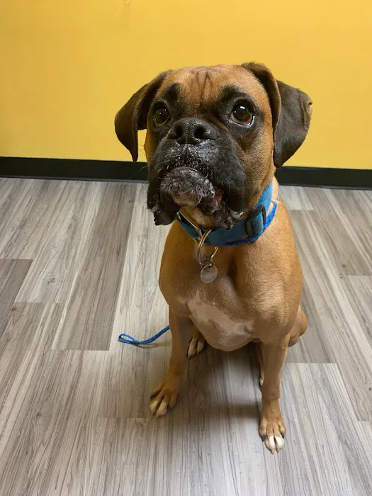 Dawson Forest Animal Hospital Picture 6