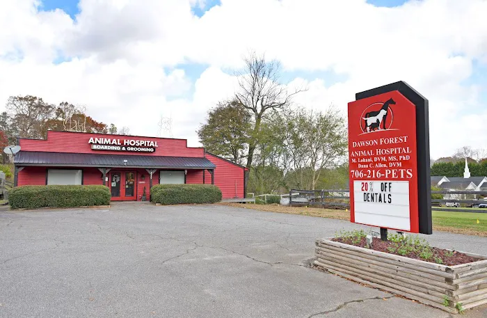 Dawson Forest Animal Hospital Picture 10
