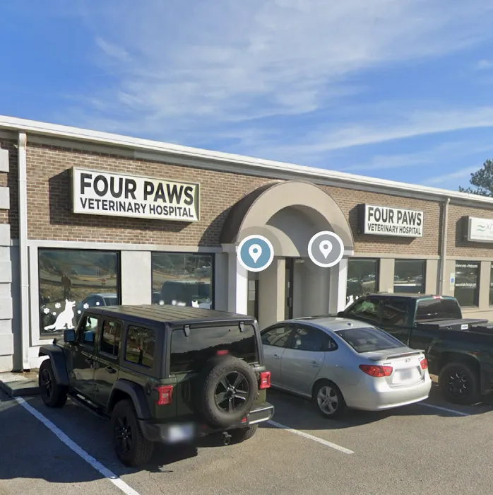 Four Paws Animal Hospital Picture 10
