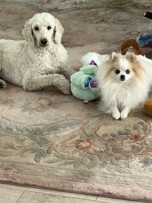 Oak Island Animal Hospital Picture 10