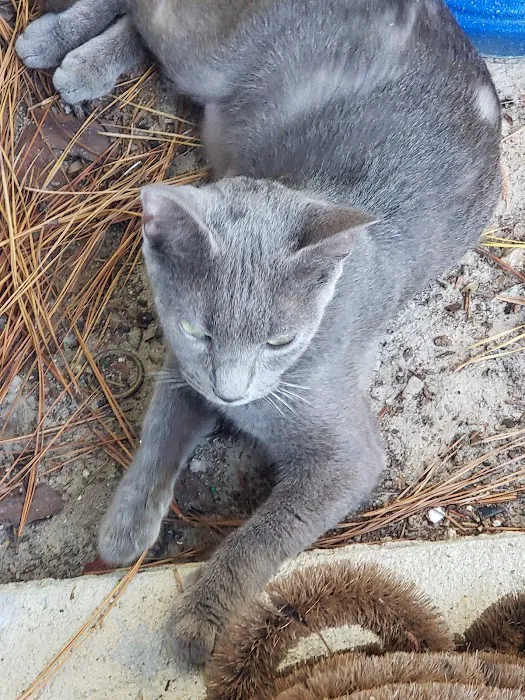 Fix A Friend Spay Neuter Clinic Picture 3